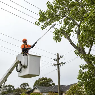 Tree lopping for power line clearance in Bannockburn