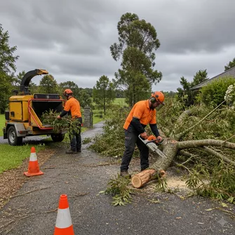 Emergency tree removal in Buangor after storm