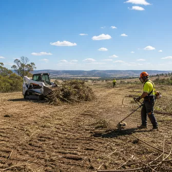 Land clearing in Carisbrook