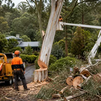 Stump Grinding Daylesford Vic