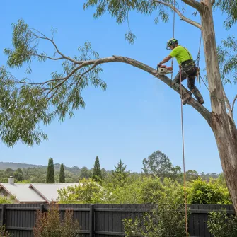 Tree Cutting Daylesford Vic