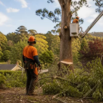 Emergency Tree Service Daylesford Vic