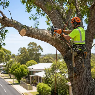 Tree cutting service in Dunolly