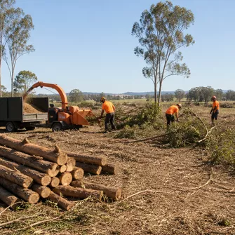 Land Clearing Project