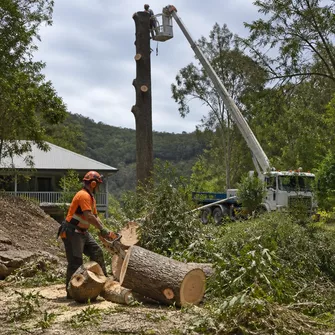 Land Clearing Project
