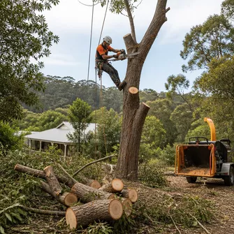 Site Cleanup after Tree Removal