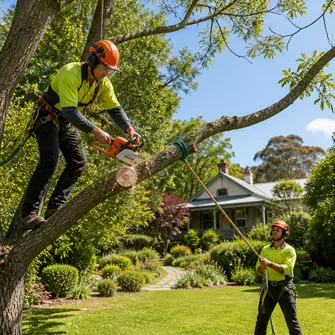 Tree cutting service in Hepburn Springs