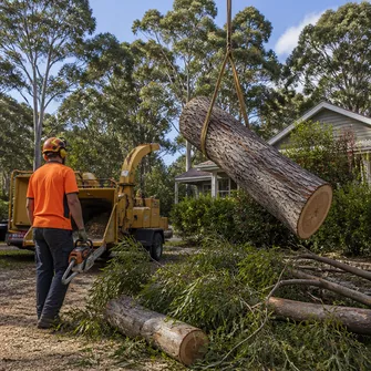 Cleanup after tree removal service in Hepburn, Victoria