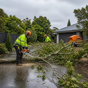 Emergency tree removal in Kingston after storm