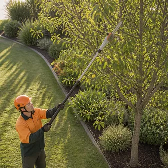Tree Pruning Learmonth