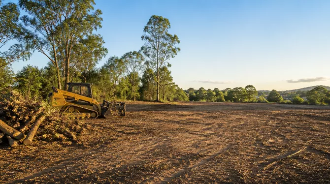 Land clearing for new projects in Mt Clear