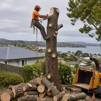Safe tree felling near a building in Newlyn