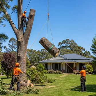 Tree cutting service in Rokewood Junction