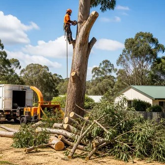 Land clearing for development in Rokewood Junction