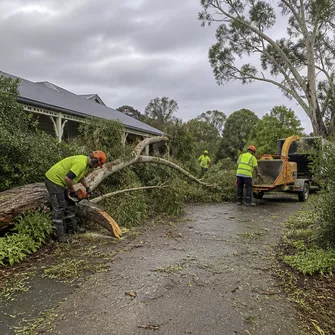 Emergency tree removal after storm in Rokewood Junction