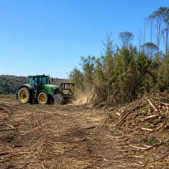 Land Clearing Scarsdale