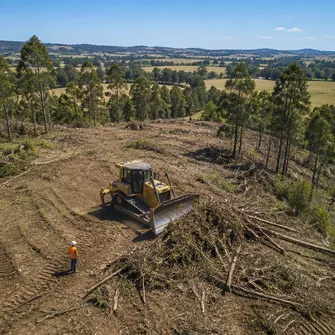 Land Clearing Shelford