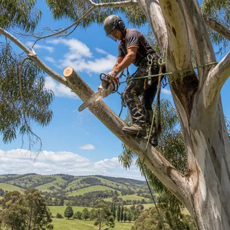 Tree Lopping Shelford