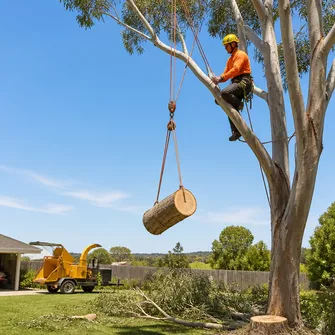 Tree Removal Skipton
