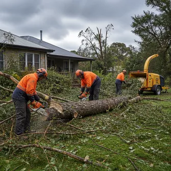 Post-Storm Tree Cleanup Skipton