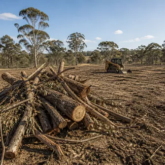 Land Clearing Smythesdale
