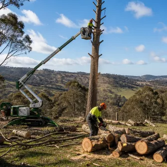 Stump Grinding Snake Valley