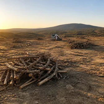 Land Clearing Snake Valley