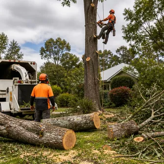 Land Clearing Talbot Vic