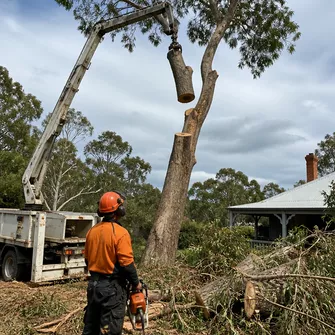 Wood Chipping Talbot Vic