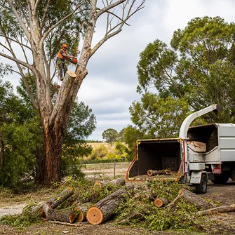 Tree cutting service in Teesdale