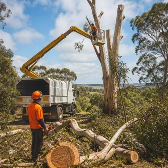 Wood chipping services after tree removal