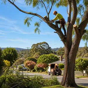 Tree pruning in Clunes, demonstrating careful branch removal for health and safety.