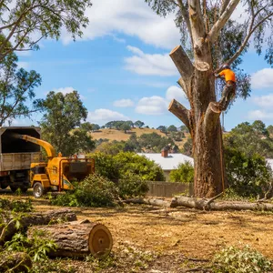 Land clearing for a new development site in Clunes, showing a clean, prepared area.