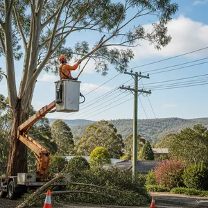 Tree lopping for powerline clearance in Gordon