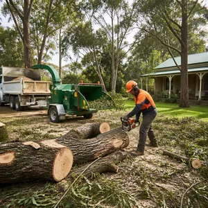 Stump grinding after tree removal in Skipton