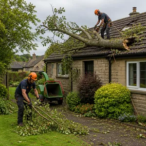 Emergency tree work after storm in Skipton