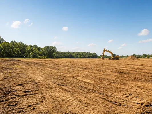 Land clearing for development