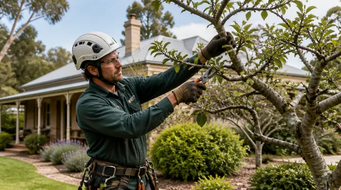 Professional tree pruning techniques