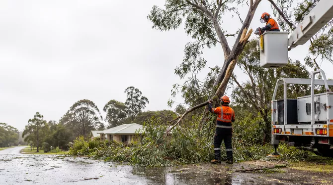 Emergency tree services after storm in Trawalla, VIC