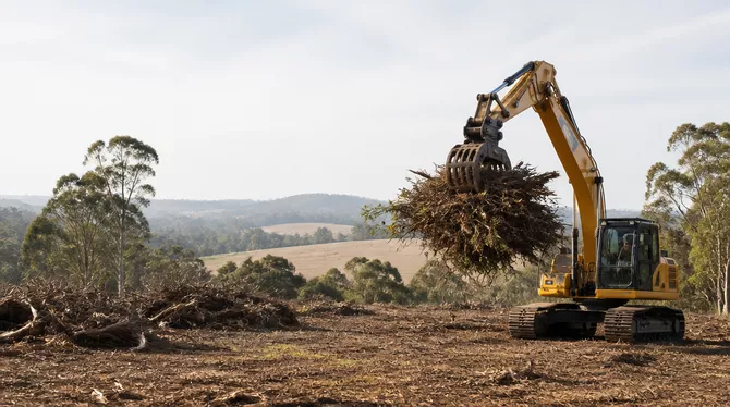 Land clearing for development in Yendon Vic